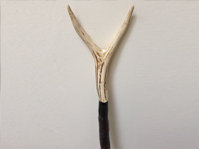 Antler Walking Stick